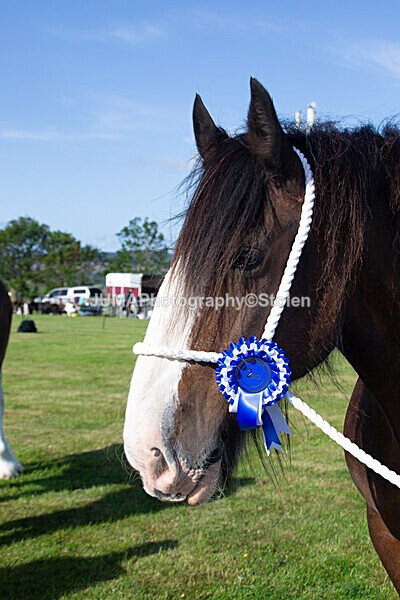 DSC_0068 - Ring 1