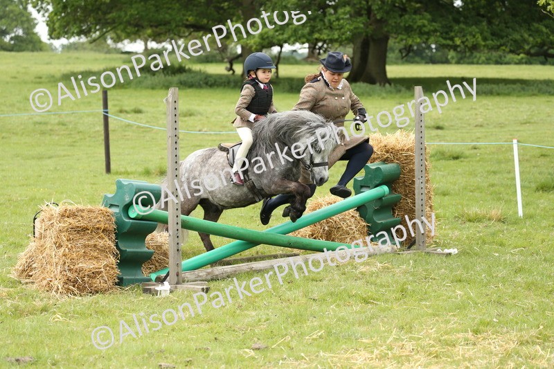 20250517-0525 - Class 20 - Beginners Working Hunter
