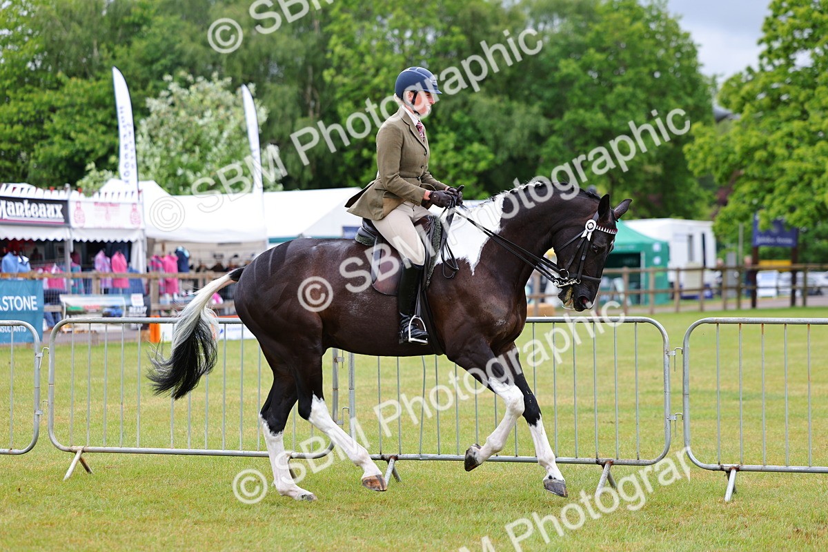 SBM_02494 - Class 9-11 Side Saddle including LIHS Rising Star Ladies Show Horse