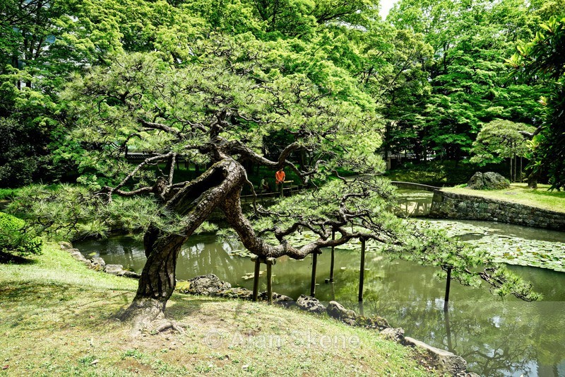 DSC04825 - Tokyo