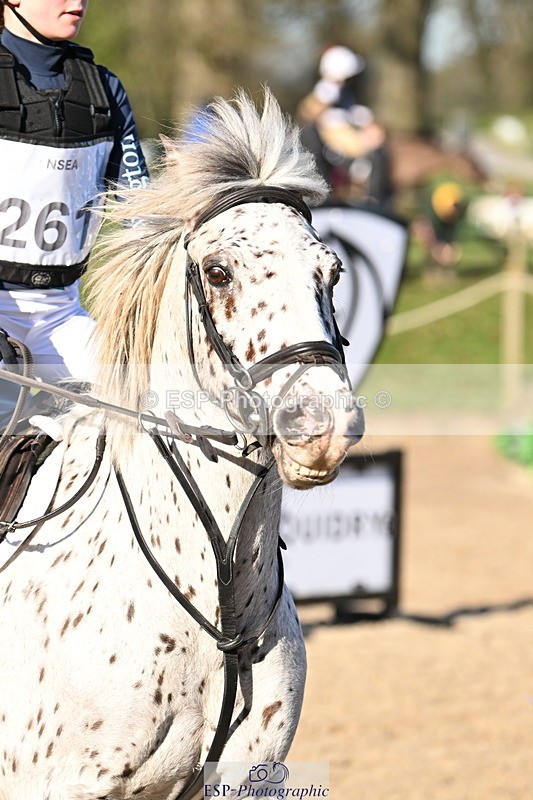 250302A-093734-01271 - Cls 01 70-75cm