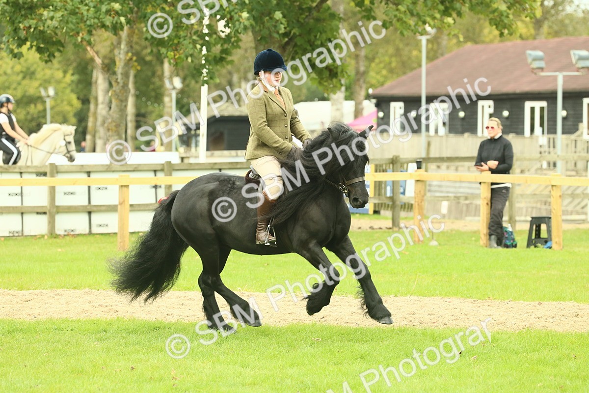 SBM_71937 - S60 - Mountain & Moorland Ridden Large Breeds