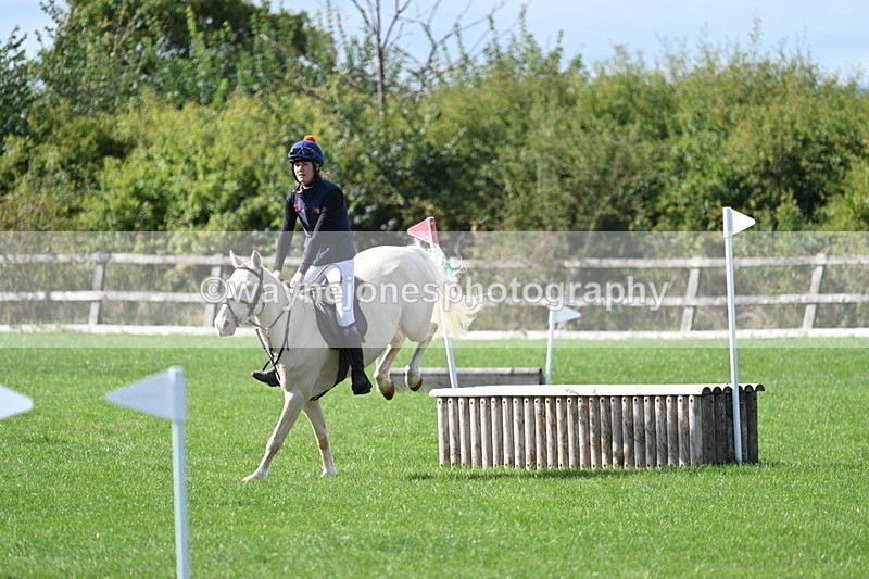 WJ7_8595 - 60cm Pairs