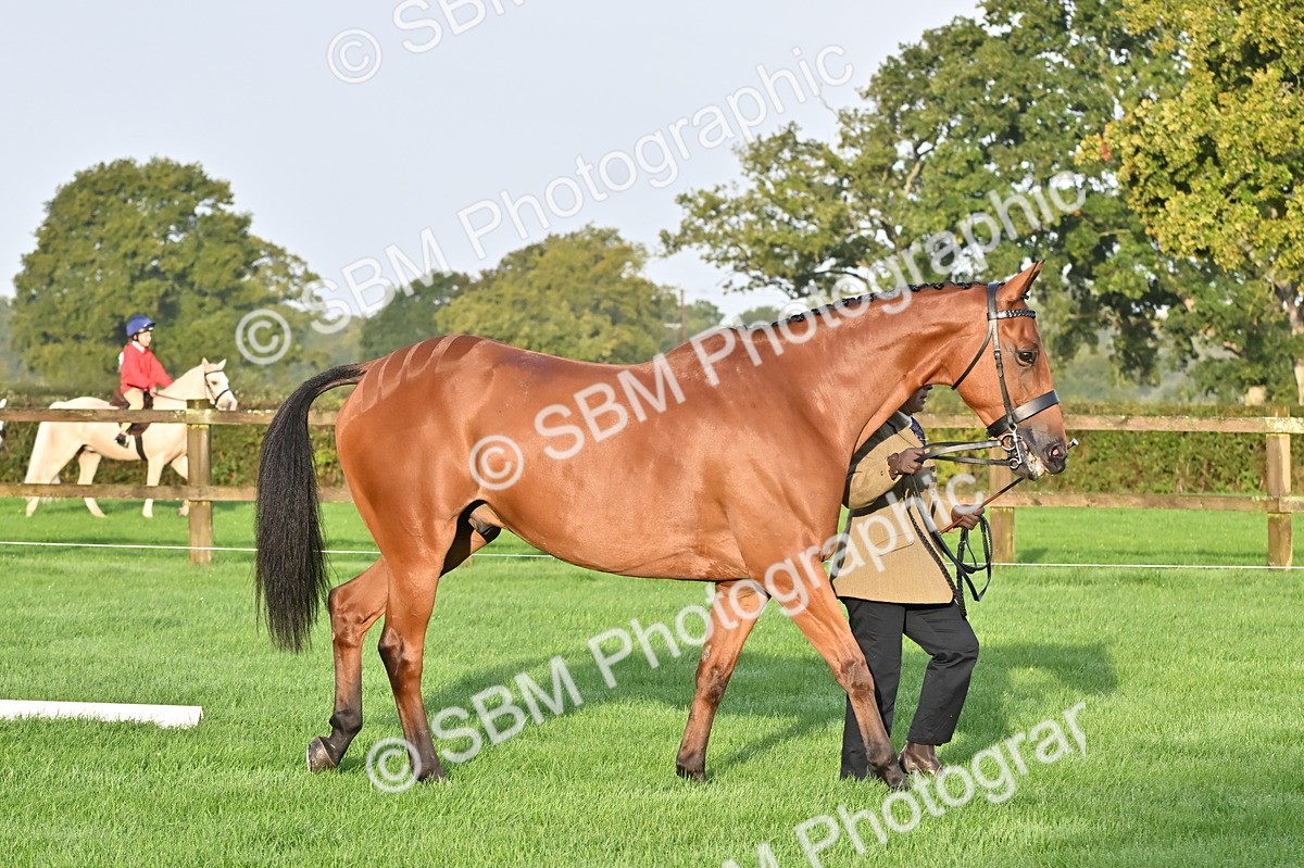 SBM_32545 - S15 - Top Turnout In Hand