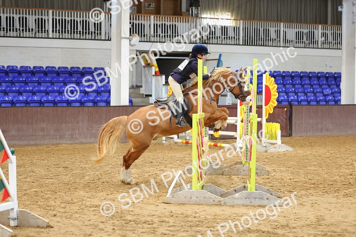 SBM_001799 - Class 5 - Show Jumping 80cm
