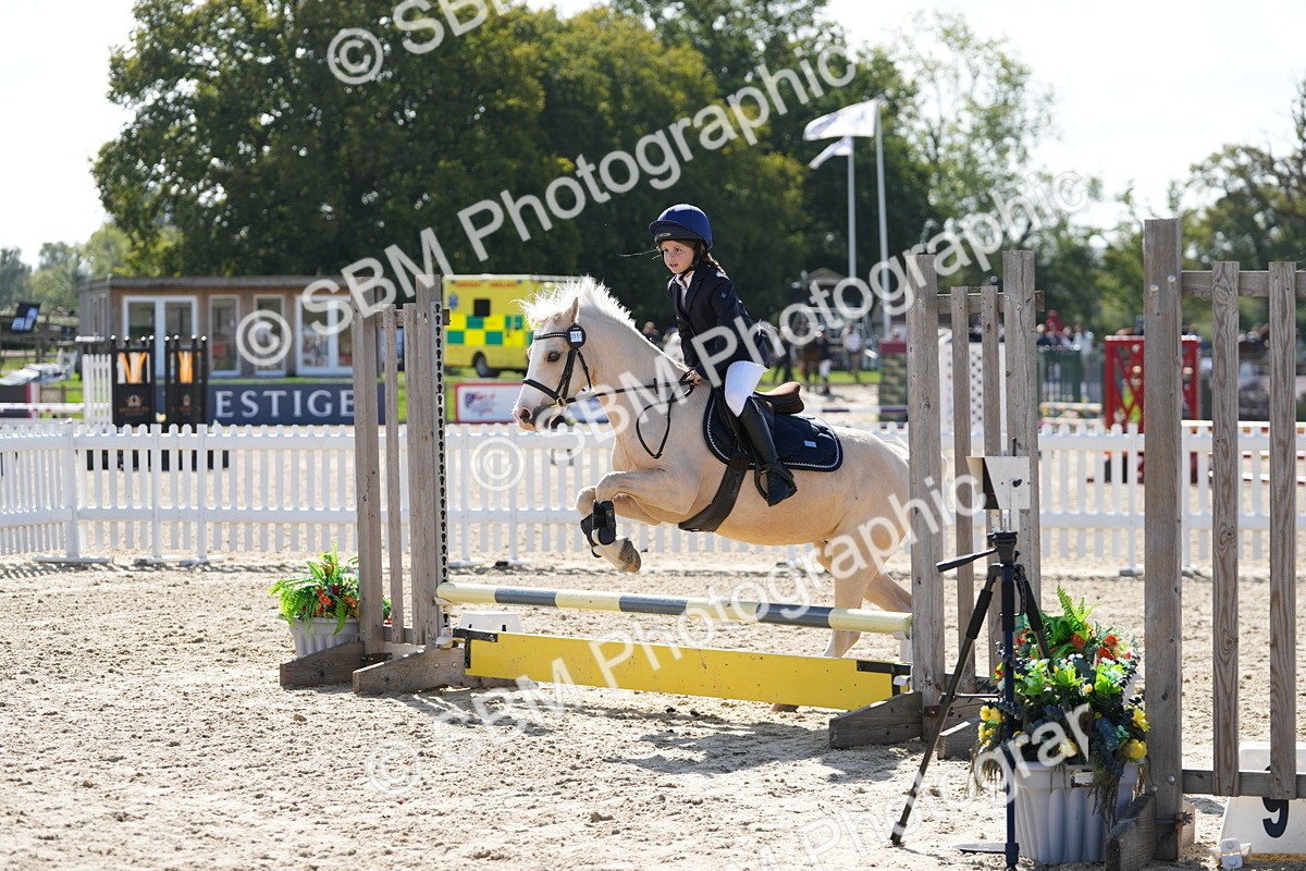 SBM_17954 - J58 - Clear Round 50cm