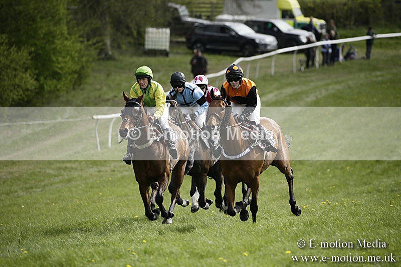 PtP 170417 286 - Old Berks Point-to-Point Lockinge 17/04/17