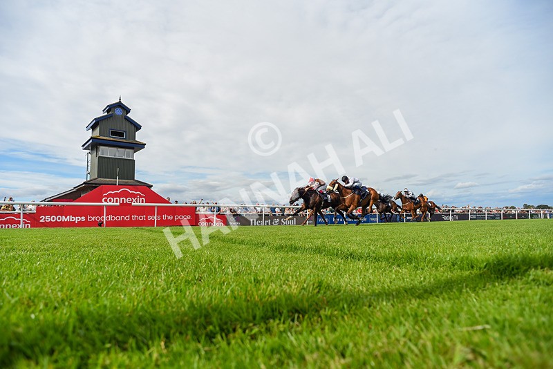 050725-Race 5-Take A Breath-5369 - Race 5
