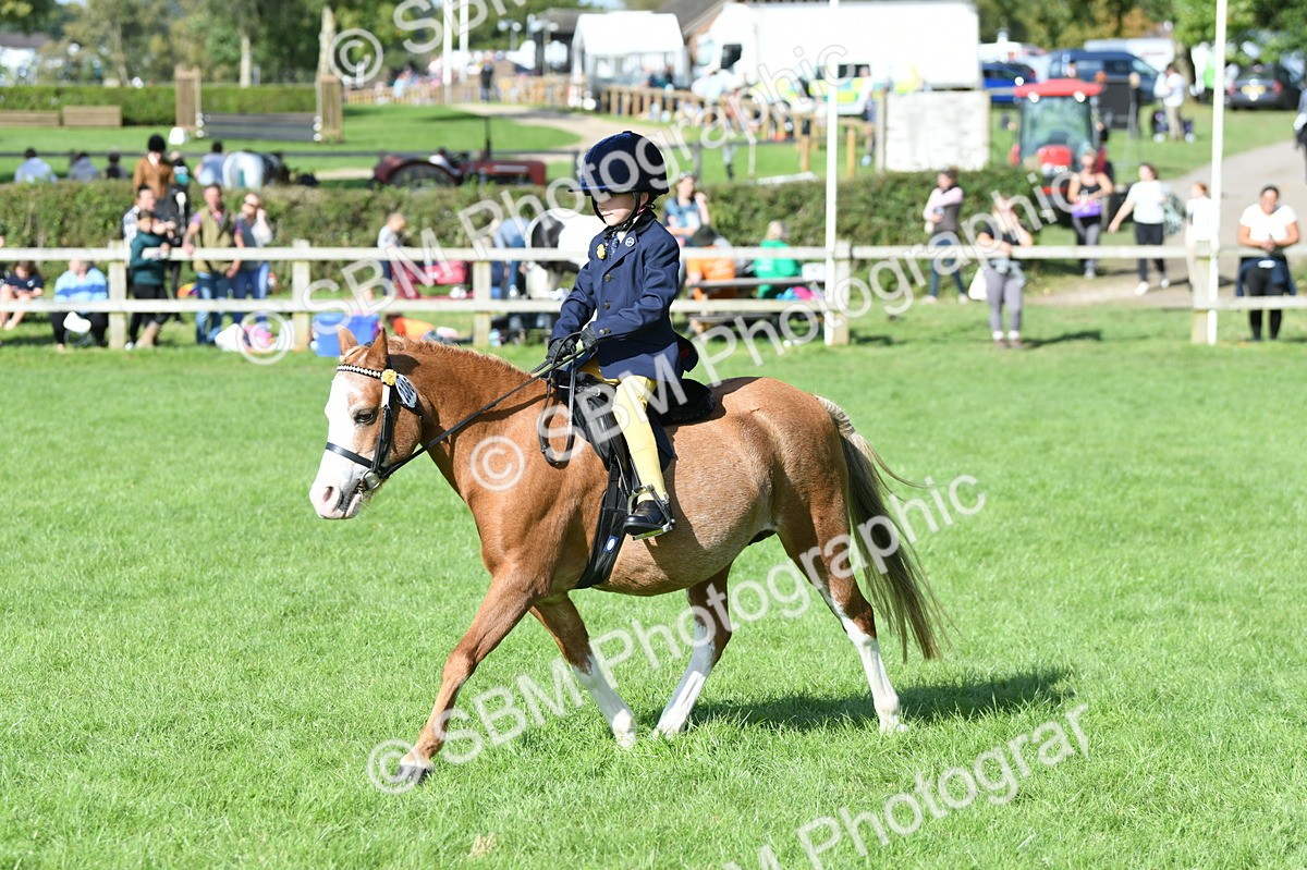 SBM_50353 - S21 - Novice & Newcomers 1st Ridden Pony