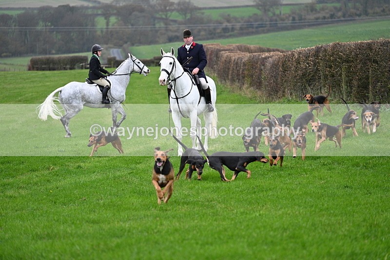 WJ7_8782 - Meet Staff & Hounds