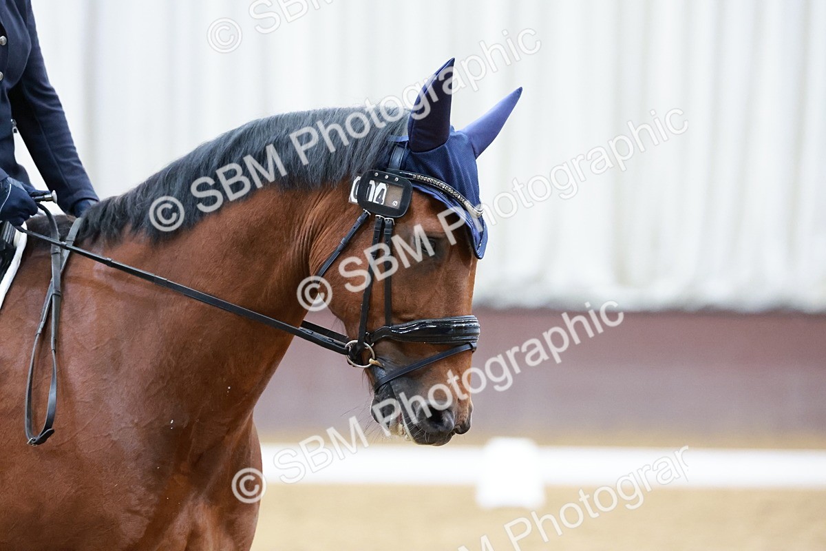 SBM_003899 - Class 11-8 - PYO- Novice 4