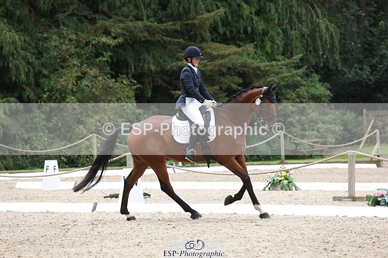 230812-115338-03886 - Cls 5 Novice Bronze 11.15 to 12.50 break