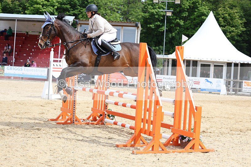 3E7A8662 - Class 4: Senior British Novice/90cm open
