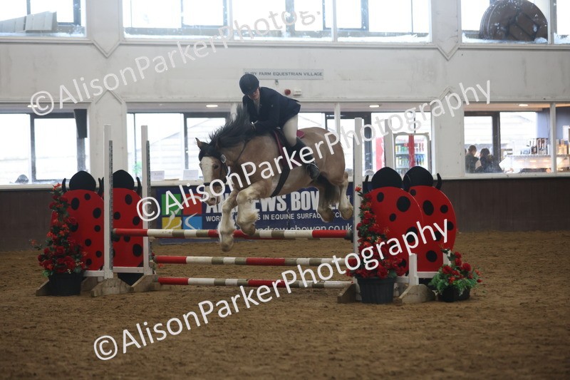 20260314-5531 - 80cm