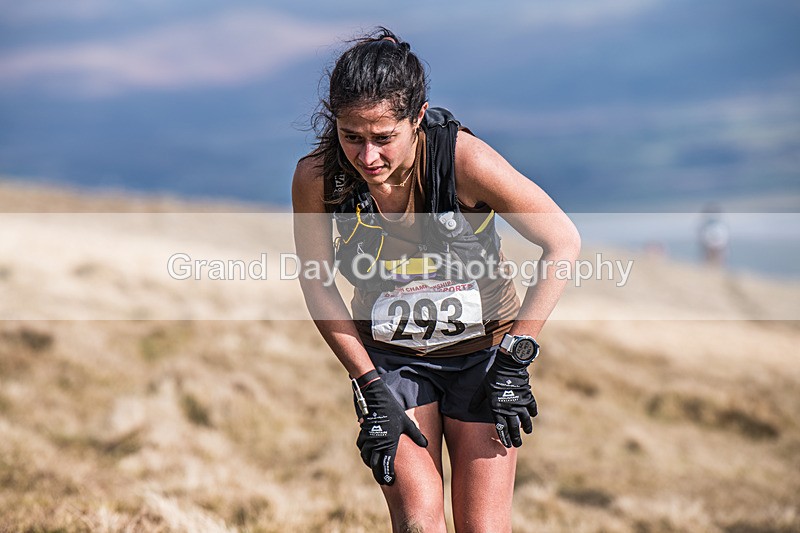 Black Combe-1829 - Black Combe Fell Race Saturday 7th March 2026