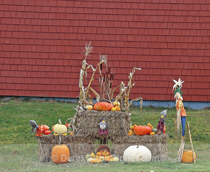 Autumn Art - 2 - Autumn Festival