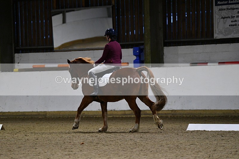 WJ5_8739 - Extra test