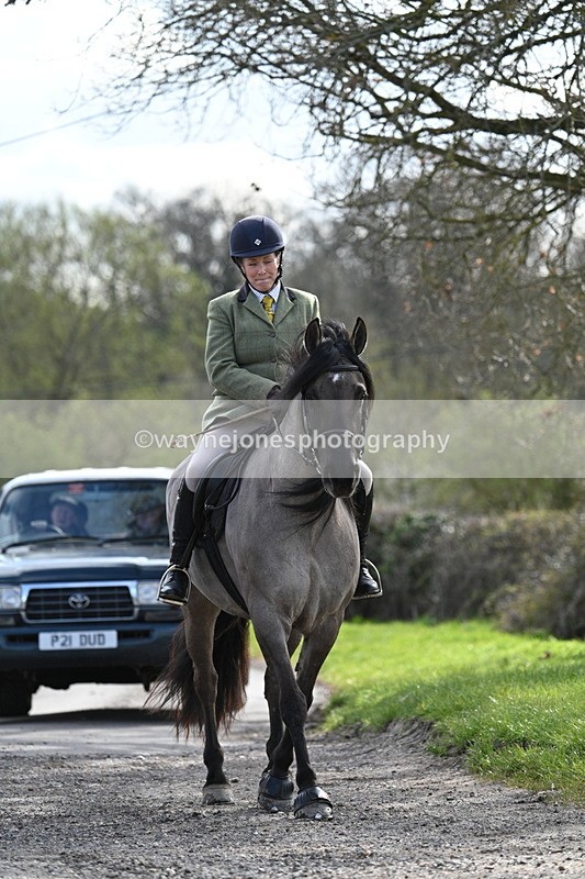 WJ7_9954 - Walk Home