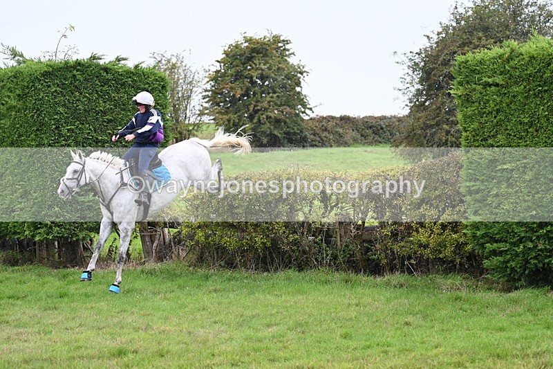 WJ7_9133 - Time 13:31 to 14:00