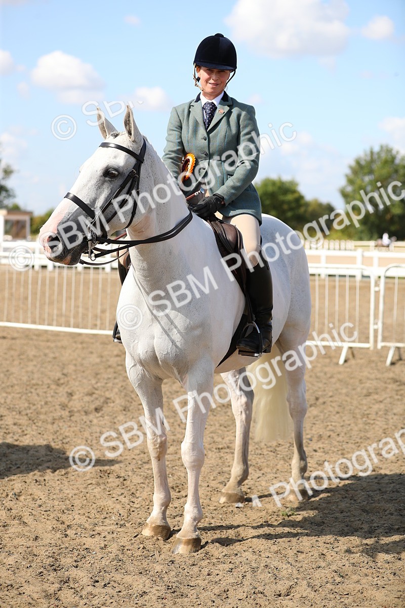 SBM_03282 - Class 44 Riding Club Horse/ Pony
