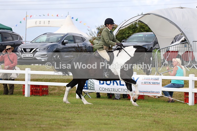 3E7A0337 - Class 6: Rising Star Maxi Cobs