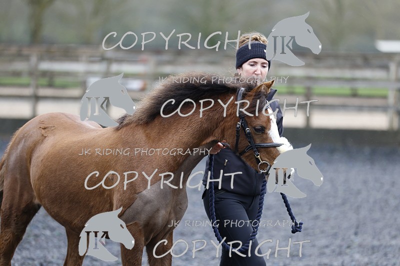 _R6A8088 - Class 1 X poles