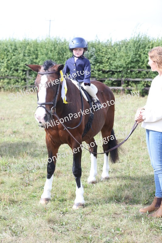 20250831-3239 - Class 24 - Absolute Beginners Pony