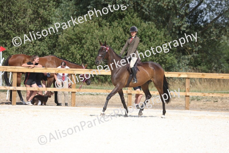 20260802-0719 - Class 8 - Best Riding Horse or Pony