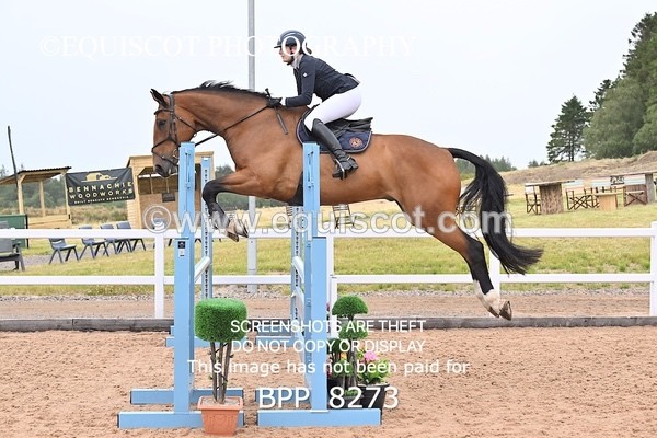 BPP_8273 - CLASS 18 SAT Nupafeeds Senior Discovery/1m open