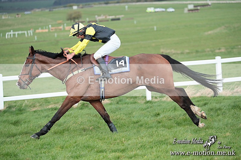 PtP 230324 900 - Tedworth Hunt PtP Larkhill Raccourse 23rd March 2024