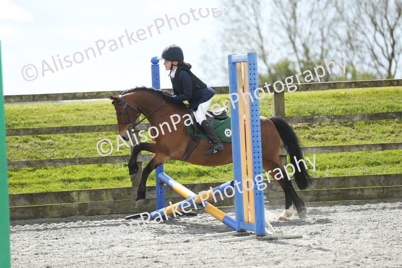 20260412-0751 - Show Jumping