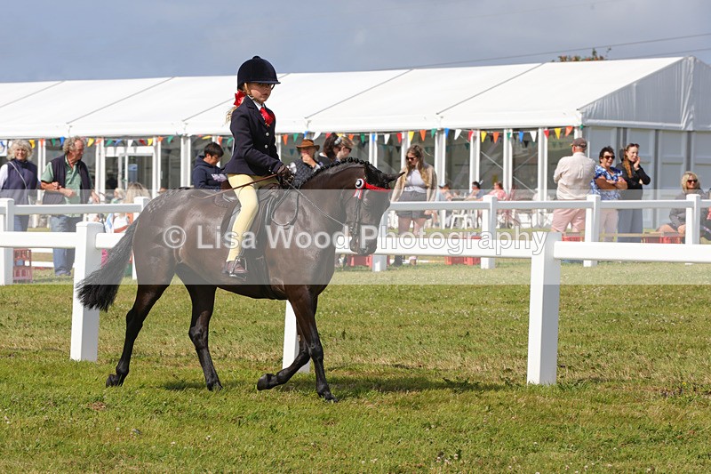 1X9A3720 - Class 30: First Ridden SP/SHP