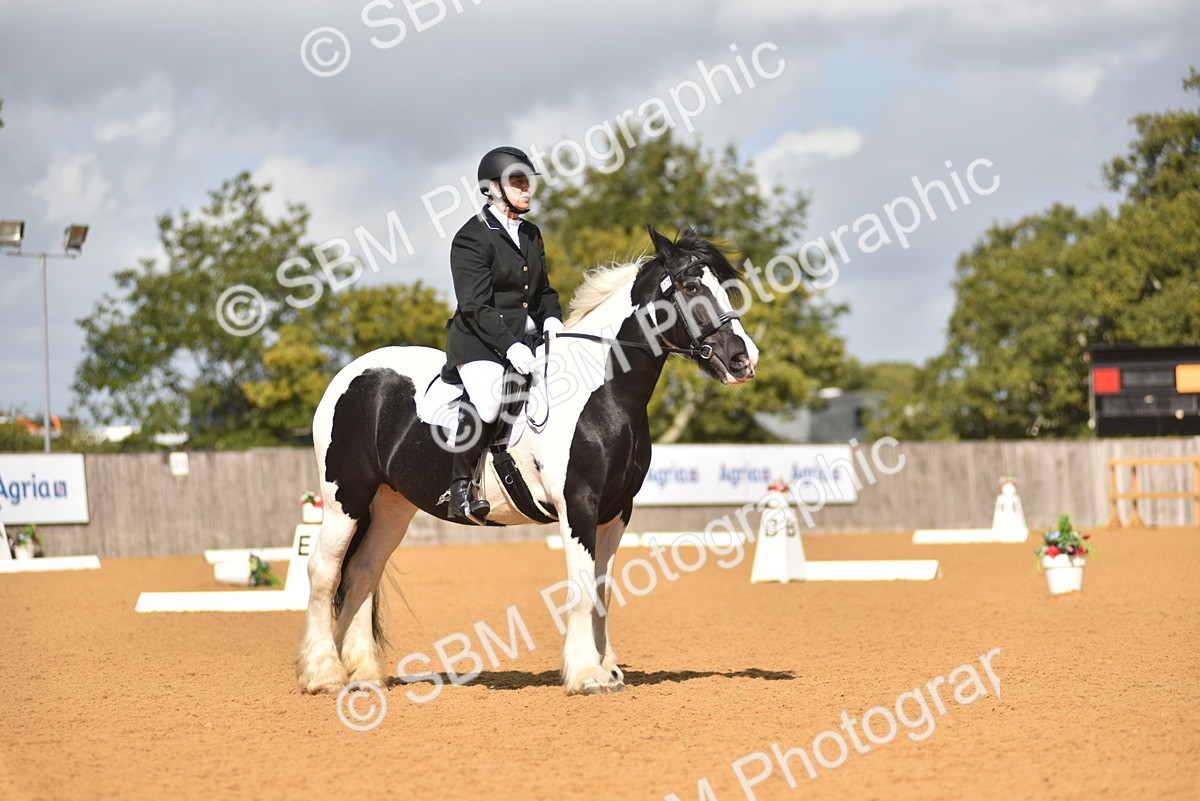 SBM_03151 - D4 - Small Tour Championship Intro 4