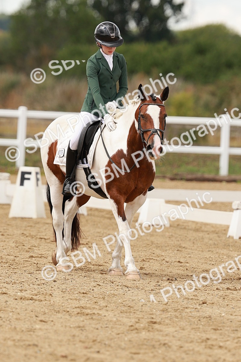 SBM_001993 - Class 8 - Elementary 6