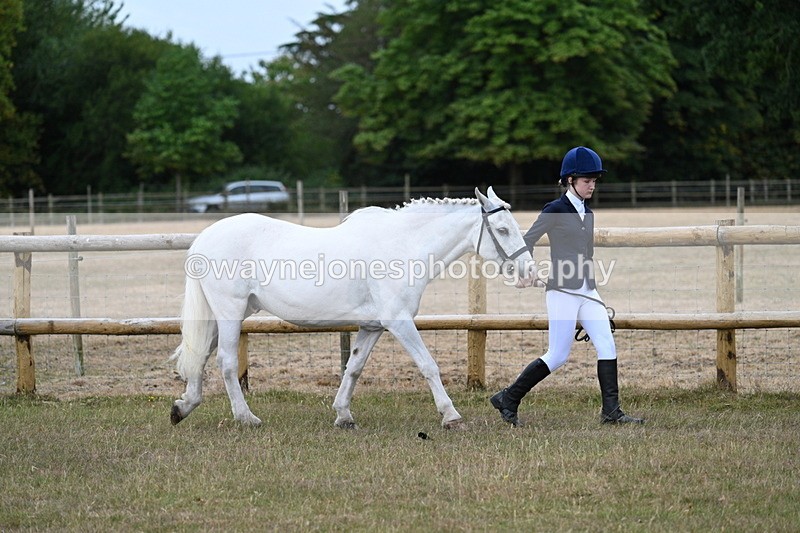 WJ7_9470 - Class 5 Most Handsome Gelding (up to 14.2hh)