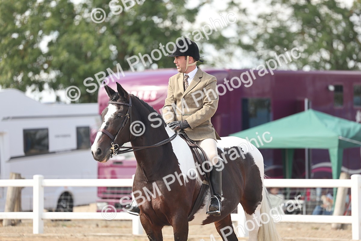 SBM_14814 - Class 308 - Ridden Coloured Horse