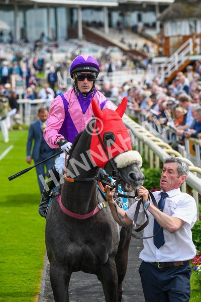 170523-Race 3-Azure Blue-0357 - Race 3 3.00pm 1895 Duke of York Clipper Logistics Stakes