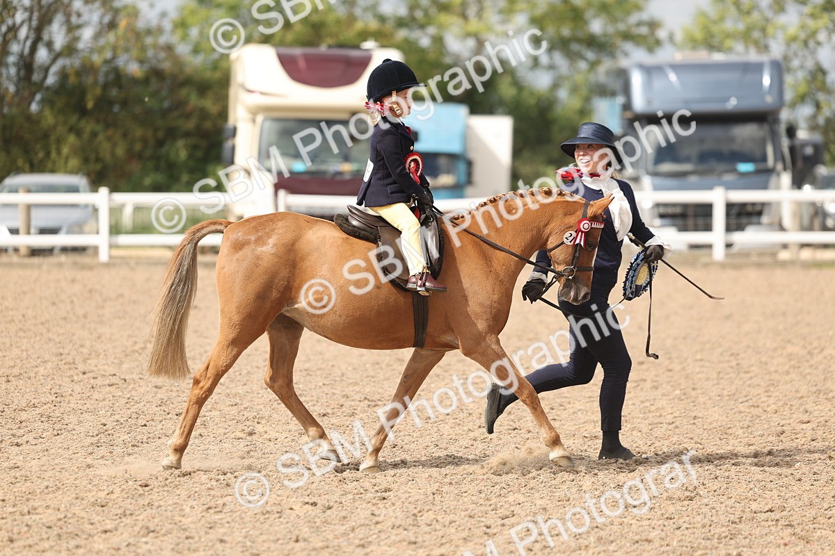 SBM_15851 - Class 309 - Lead Rein Pony