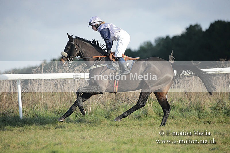 PtP 011219-0273 - Hursley Hambledon Hunt Point-to-Point 01/12/19