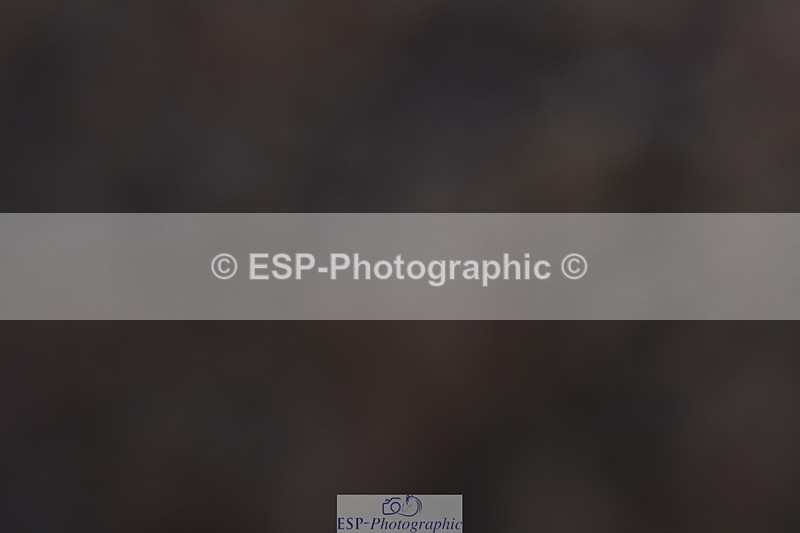 231104A-103917-00124 - Cls 4 Novice 22