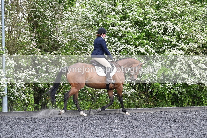 WJ7_8259 - Time 10:30 to 10:51