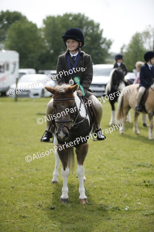 20260426-1970 - Class 8 - Prettiest Mare