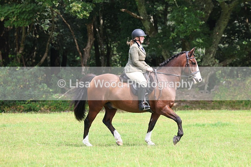 3E7A5847 - Class 26 and 27: 70cm Working Hunter