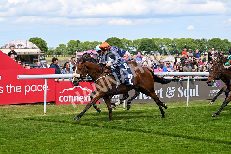 280525-Race 1-Head For Freedom-4159 - Race 1