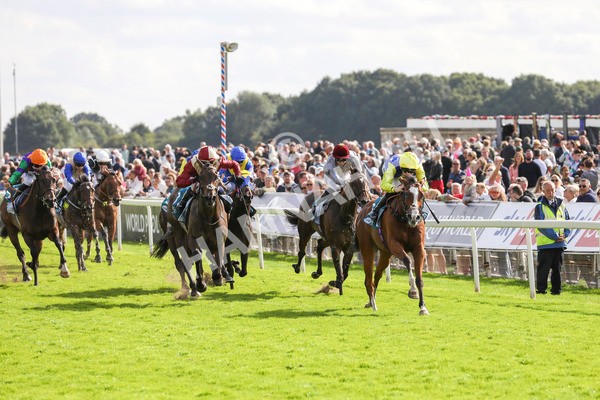 230824-Race 5-Canoodled-8500 - Race 5 4.10pm Assured Data Protection EBF Fillies' Handicap