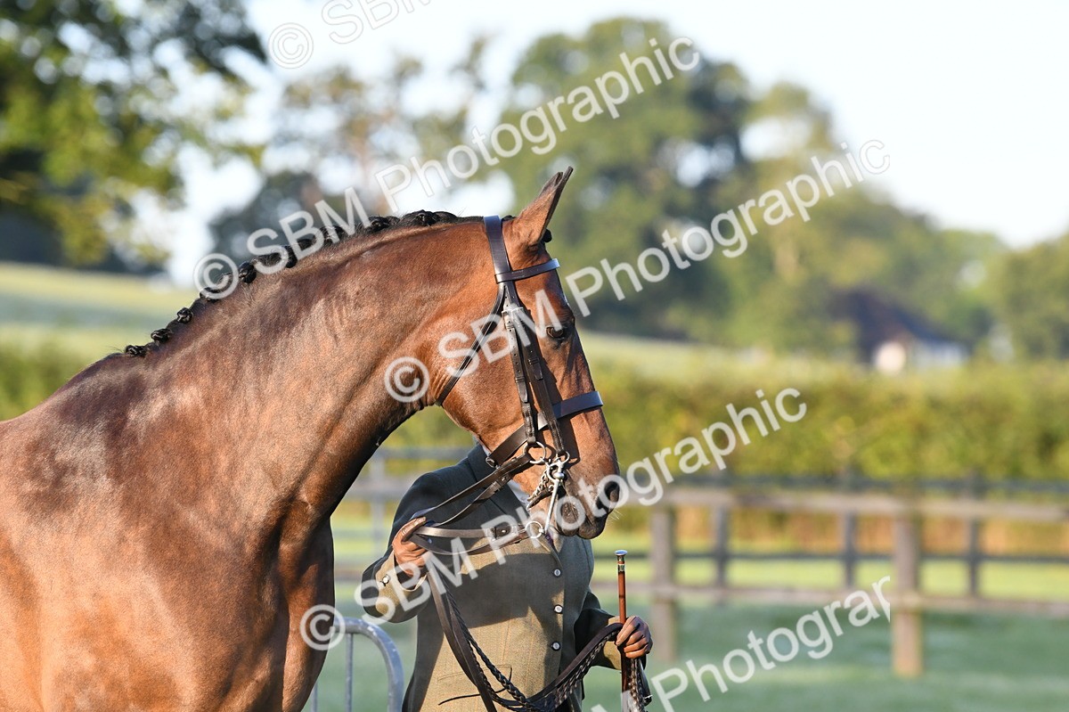 SBM_32409 - S15 - Condition & Turnout In Hand