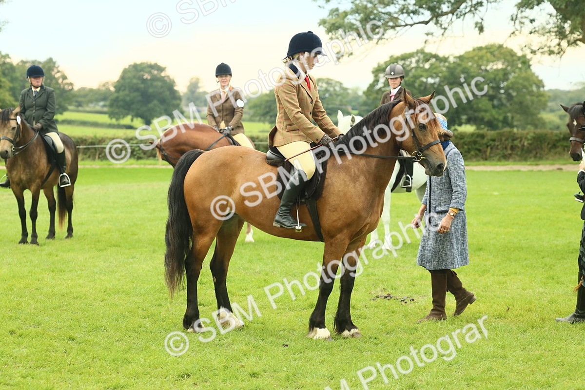 SBM_72135 - S60 - Mountain & Moorland Ridden Large Breeds
