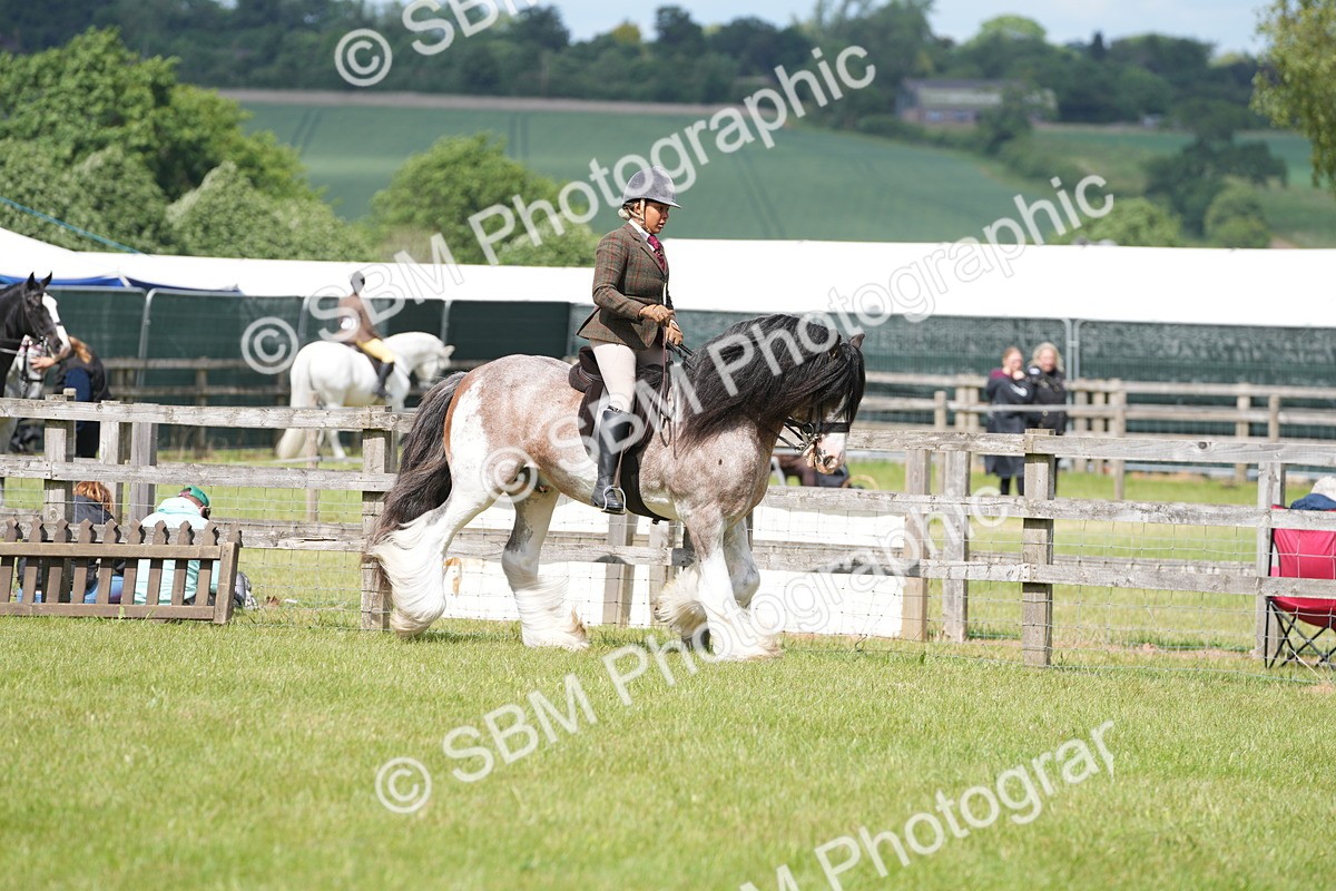 SBM_17199 - Class 107-108 - LIHS BSPS Performance Coloured Horse Pony