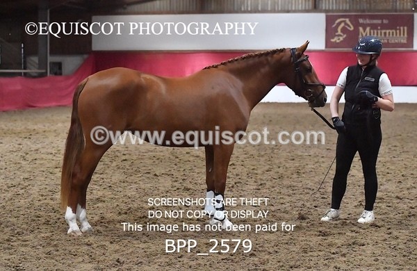 BPP_2579 - LOOSE JUMPING / SPSS