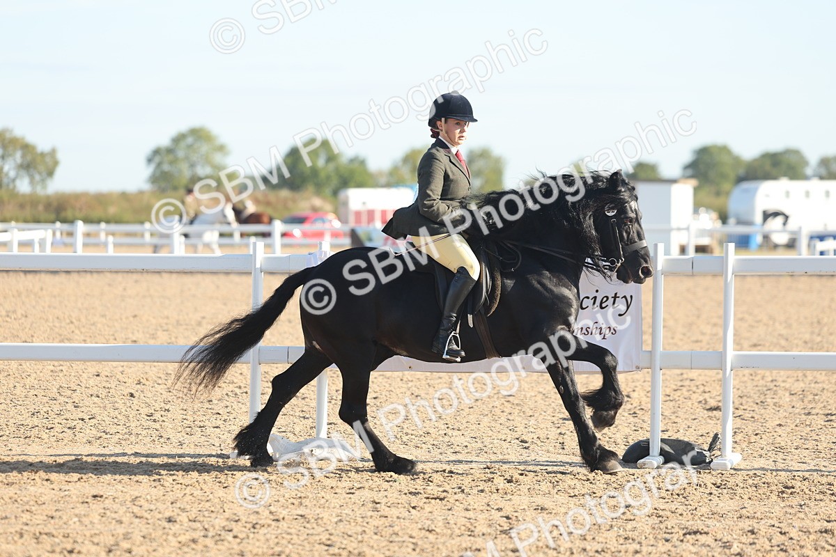 SBM_11004 - Class 302 - Ridden M&M Large Breeds